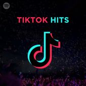 Tik Tok Hits Playlist on Spotify by Mistasy